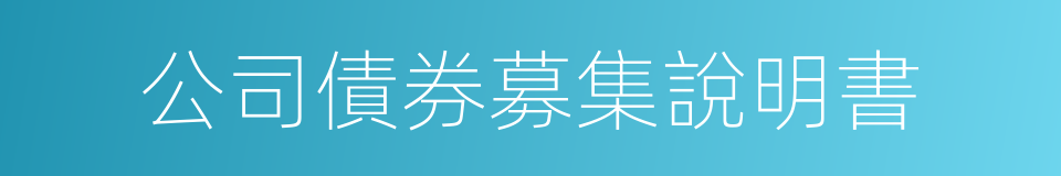 公司債券募集說明書的同義詞