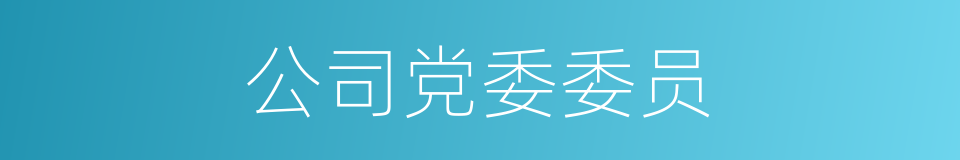 公司党委委员的同义词