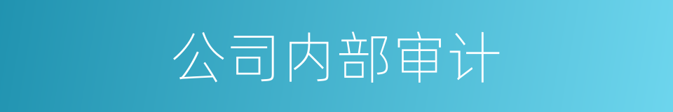 公司内部审计的同义词