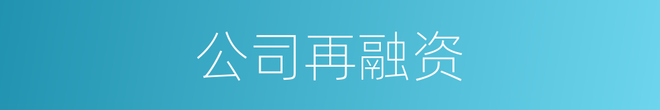 公司再融资的同义词