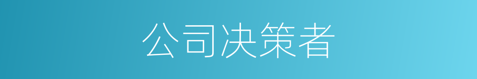 公司决策者的同义词