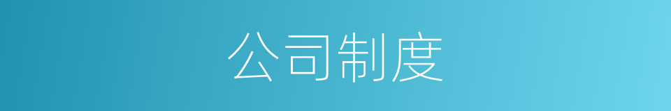 公司制度的同义词