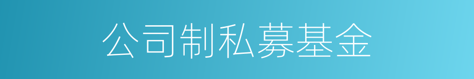 公司制私募基金的同义词