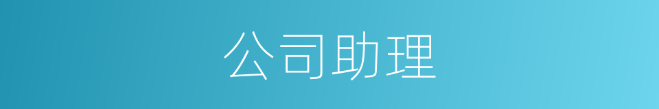 公司助理的同义词