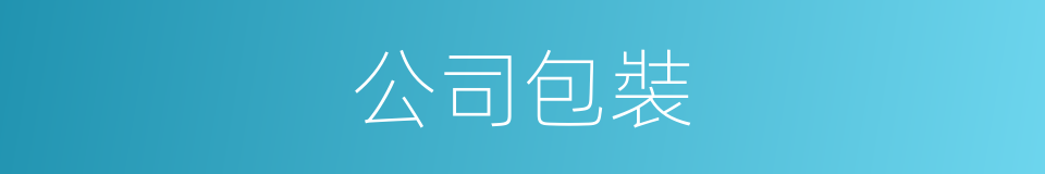 公司包裝的同義詞