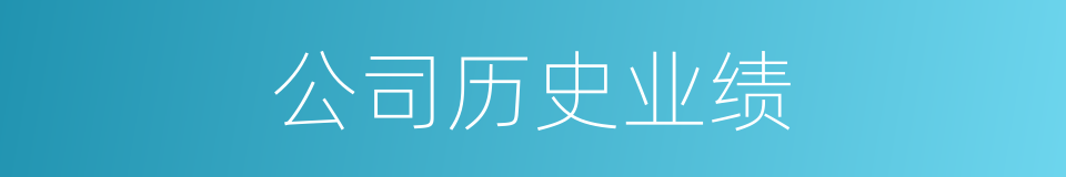公司历史业绩的同义词