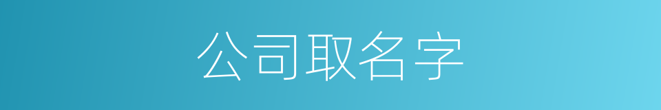 公司取名字的同义词