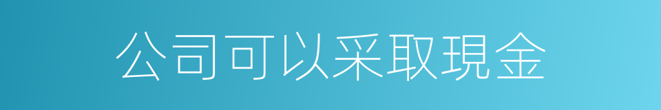 公司可以采取現金的同義詞