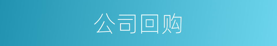 公司回购的同义词