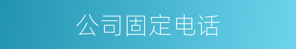 公司固定电话的同义词