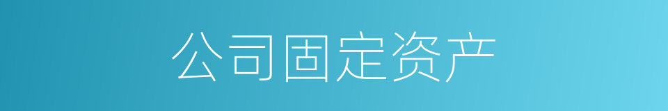 公司固定资产的同义词