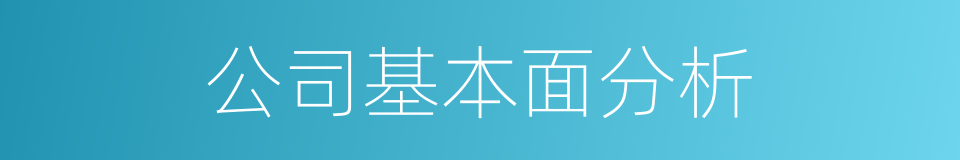 公司基本面分析的同义词