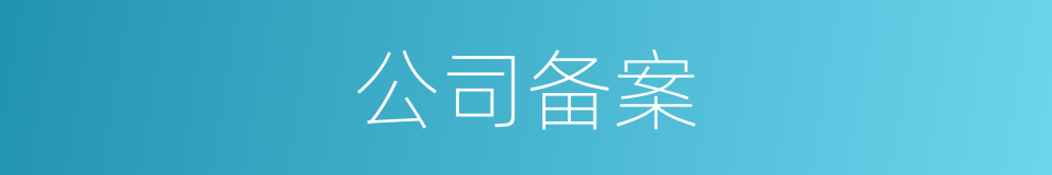 公司备案的同义词
