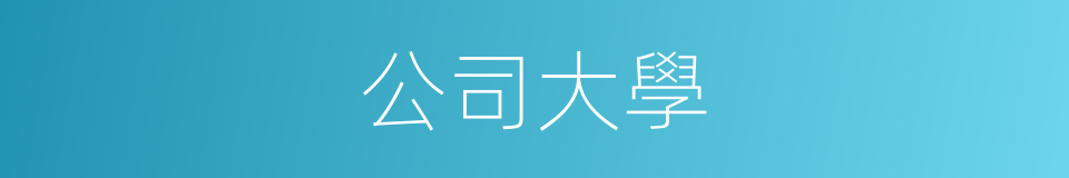 公司大學的同義詞