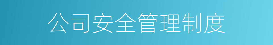 公司安全管理制度的同义词