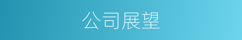 公司展望的同义词