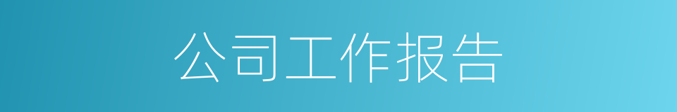 公司工作报告的同义词