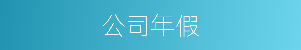 公司年假的同义词