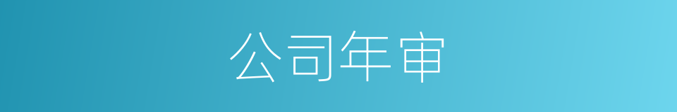 公司年审的同义词