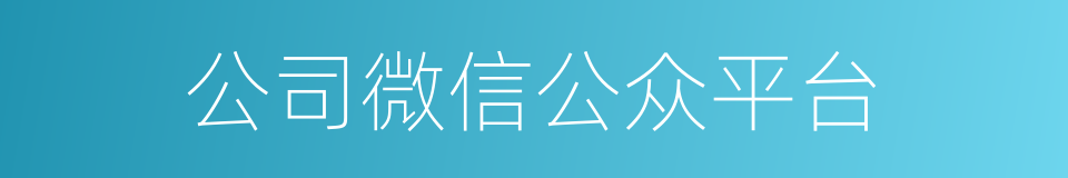 公司微信公众平台的同义词