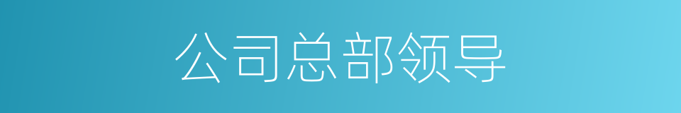 公司总部领导的同义词