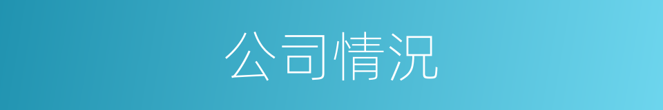 公司情況的同義詞