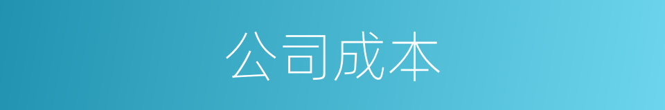 公司成本的同义词