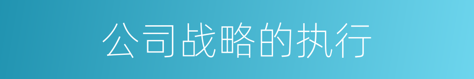 公司战略的执行的同义词