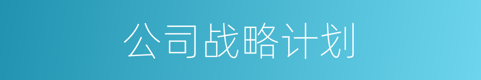 公司战略计划的同义词