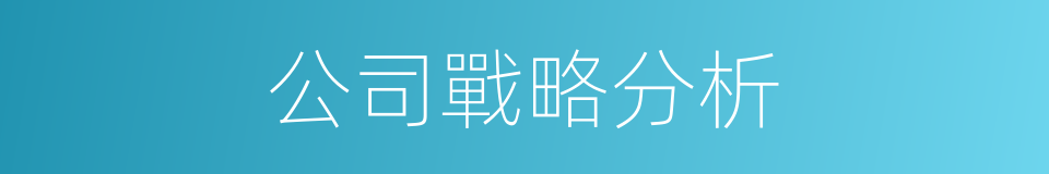 公司戰略分析的同義詞