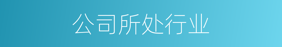 公司所处行业的同义词