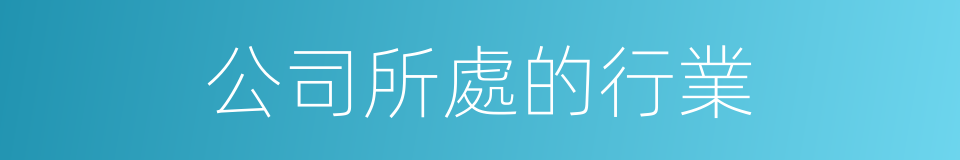 公司所處的行業的同義詞