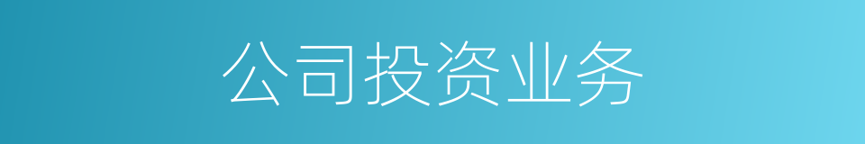 公司投资业务的同义词