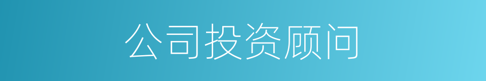公司投资顾问的同义词