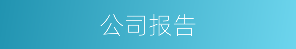 公司报告的同义词