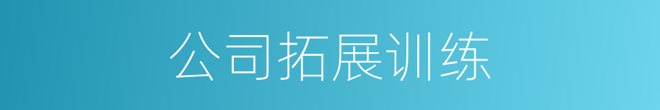 公司拓展训练的同义词