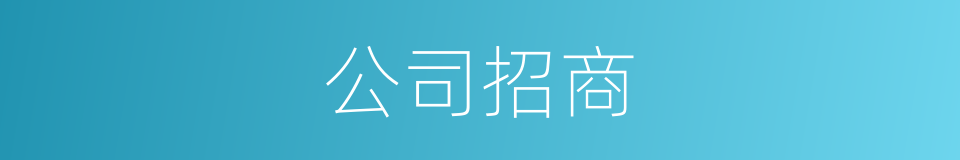 公司招商的同义词