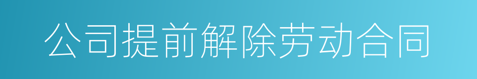 公司提前解除劳动合同的同义词