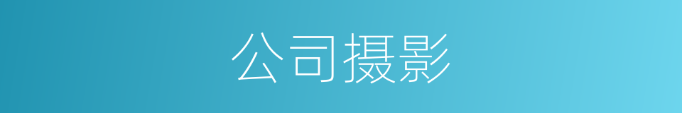 公司摄影的同义词