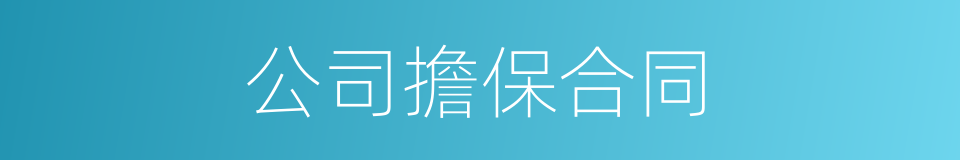 公司擔保合同的同義詞