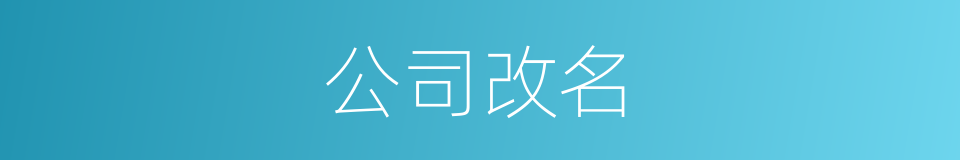 公司改名的同义词
