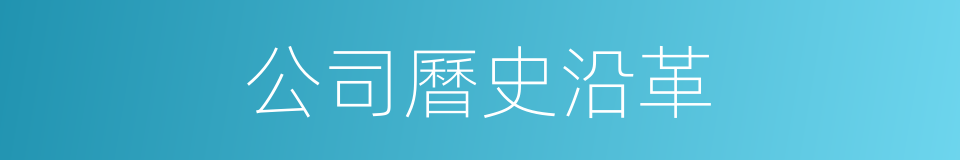 公司曆史沿革的同義詞