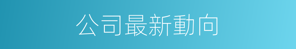 公司最新動向的同義詞