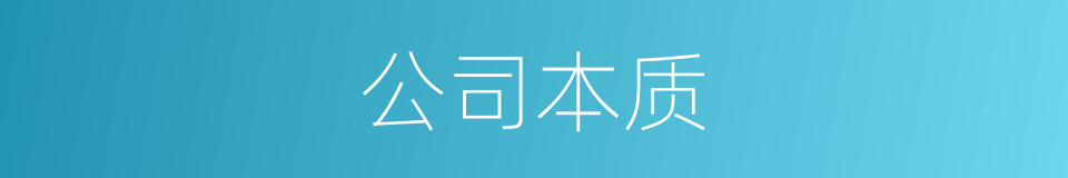 公司本质的同义词