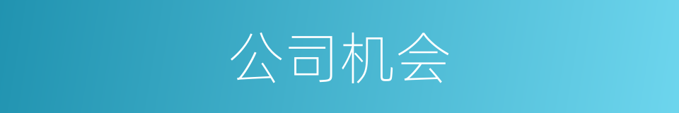公司机会的同义词