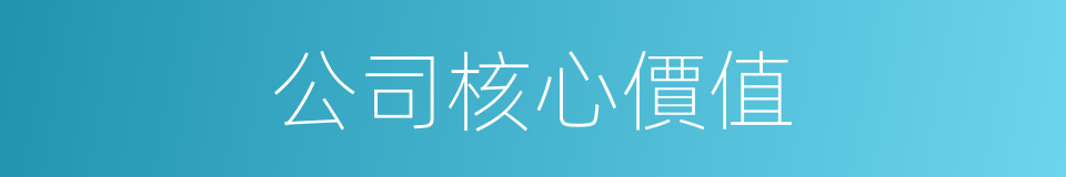 公司核心價值的同義詞