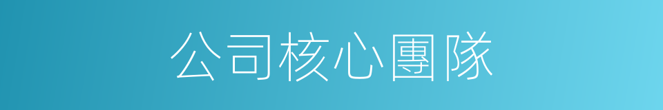 公司核心團隊的同義詞