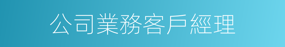 公司業務客戶經理的同義詞