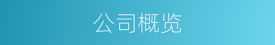 公司概览的同义词