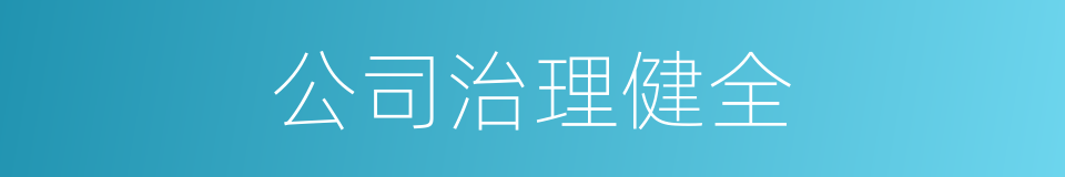 公司治理健全的同义词